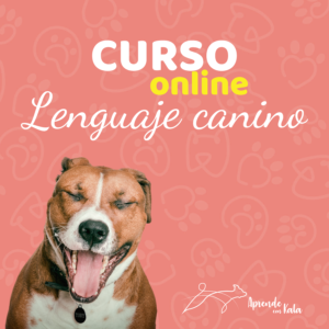 Curso de Lenguaje Canino