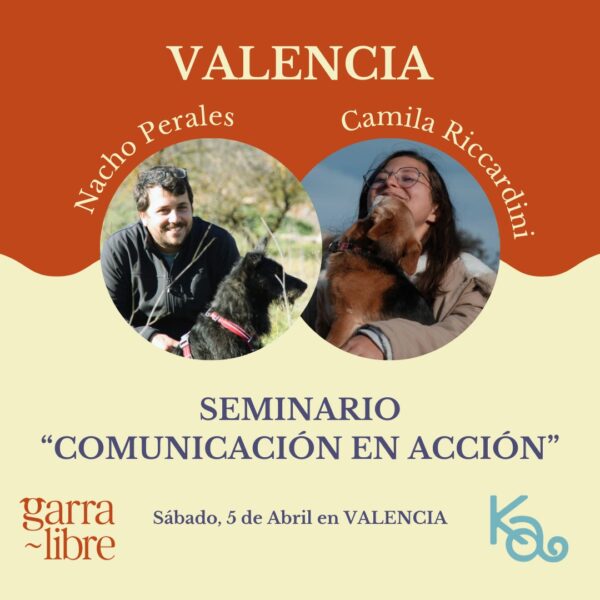 Seminario presencial "Comunicación en Acción"